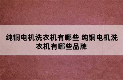 纯铜电机洗衣机有哪些 纯铜电机洗衣机有哪些品牌